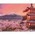 Tradícionális Japán - Számfestő készlet kereten 40X50
