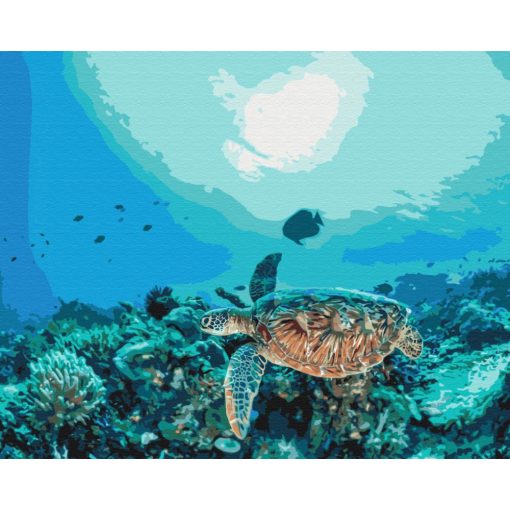 Teknős a korallzátonyon - Számfestő készlet kereten 40x50_