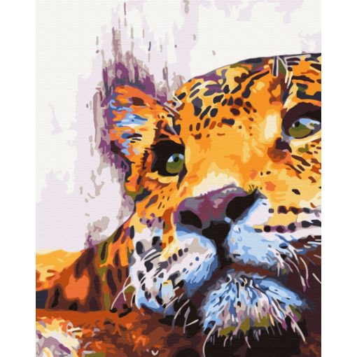 Leopárd akvarell - Számfestő készlet kereten 40x50_