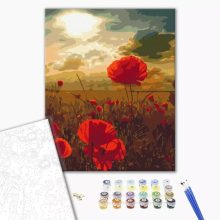 Pipacsok a mezőn - Számfestő készlet kereten 40x50