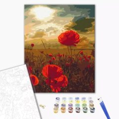 Pipacsok a mezőn - Számfestő készlet kereten 40x50