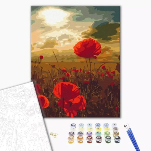 Pipacsok a mezőn - Számfestő készlet kereten 40x50