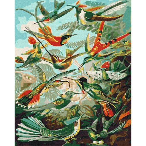 Kolibri királyság - Számfestő készlet kereten 40x50