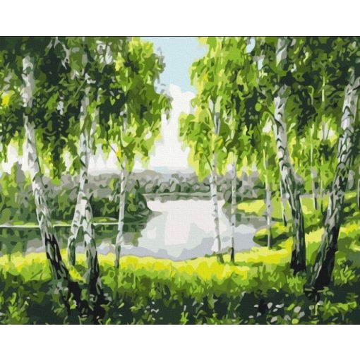 Nyírfa erdő - Számfestő készlet kereten 40x50