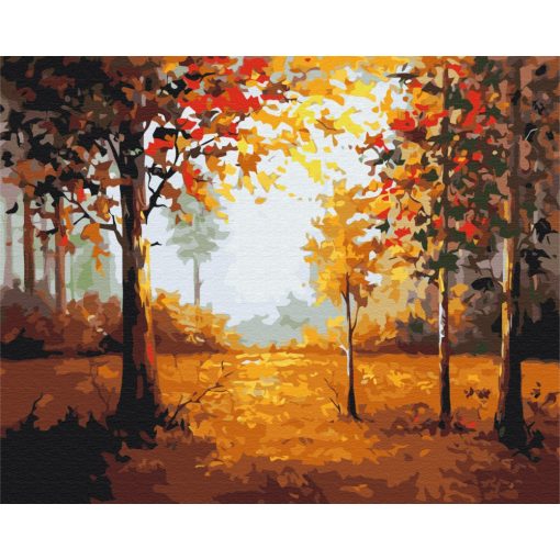 Erdő ősszel - Számfestő készlet kereten 40x50_
