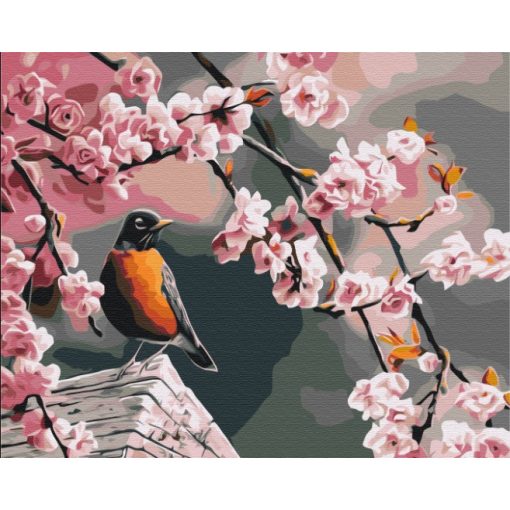 Madárka a cseresznyefán - Számfestő készlet kereten 40x50