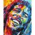   Bob Marley pop-art portré - Számfestő készlet kereten 40X50