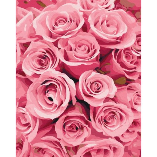 Álmaim rózsacsokra - Számfestő készlet kereten 40x50