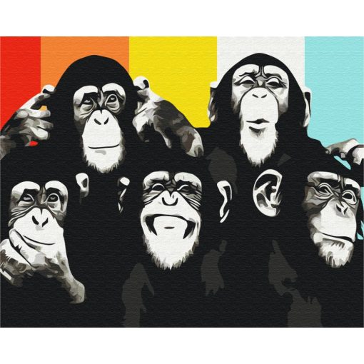 Csimpánz portré - Számfestő készlet kereten 40x50