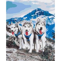 Husky barátság - Számfestő készlet kereten 40x50