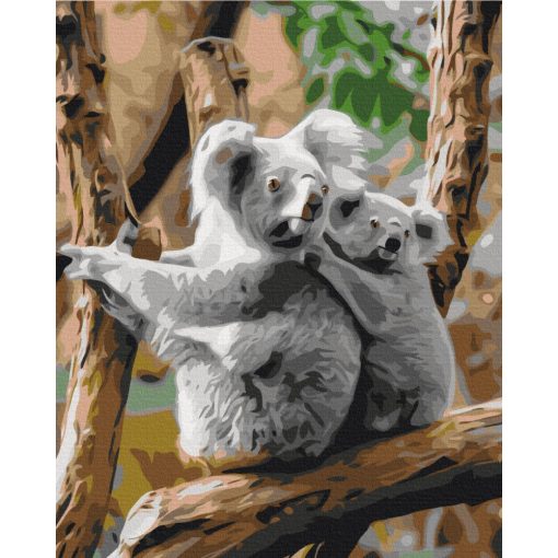 Koala család - Számfestő készlet kereten 40x50