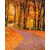 Park ősszel - Számfestő készlet kereten 40X50