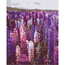 Levendulák - Számfestő készlet kereten 40x50