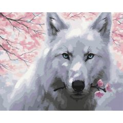 A farkas tekintete - Számfestő készlet kereten 40x50