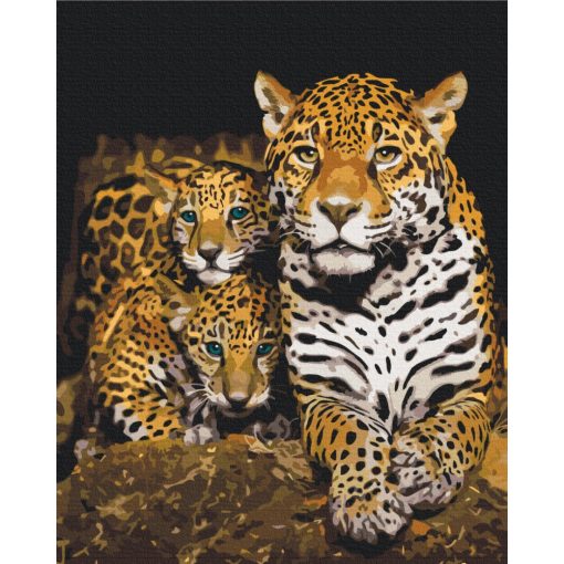 Éjszakai leopárdok - Számfestő készlet kereten 40x50_