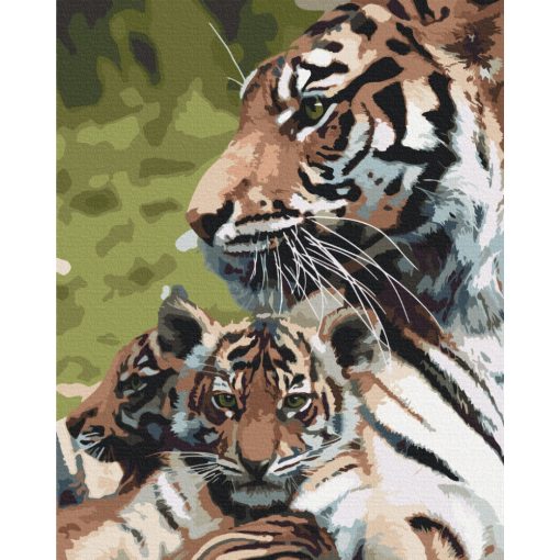 Tigris család - Számfestő készlet kereten 40x50_