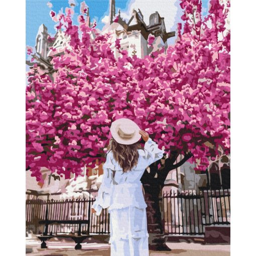Virágzó Notre Dame - Számfestő készlet kereten 40x50_