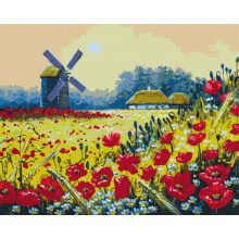 Pipacs mező - Számfestő készlet kereten 40x50