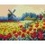 Pipacs mező - Számfestő készlet kereten 40x50