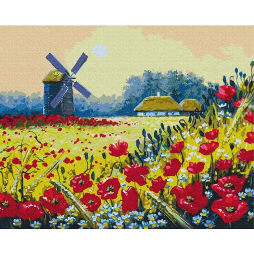 Pipacs mező - Számfestő készlet kereten 40x50