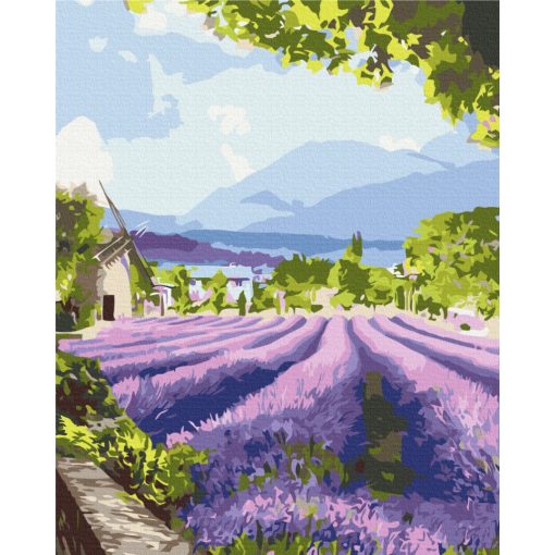 Levendulamező Provence-ban - Számfestő készlet kereten 40X50