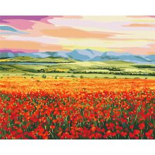 Pipacsmező a naplementében - Számfestő készlet kereten 40X50