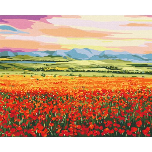 Pipacsmező a naplementében - Számfestő készlet kereten 40X50