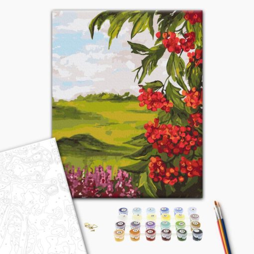 Sommerliche Natur - Malen-nach-Zahlen-Set auf Keilrahmen 40x50