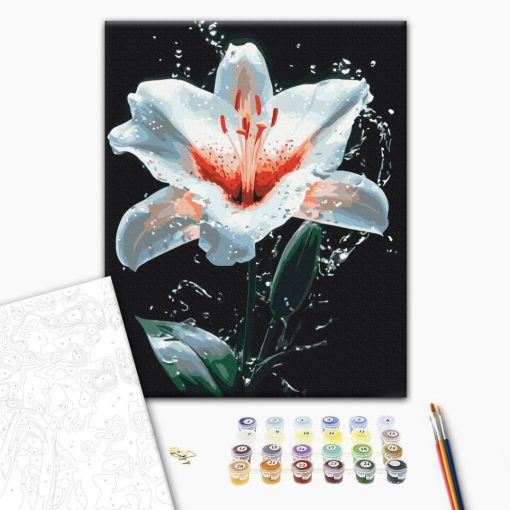 Liliom - Számfestő készlet kereten 40x50