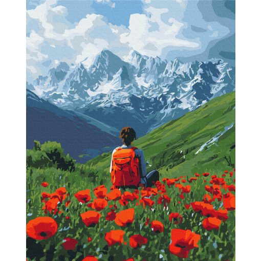 Pipacsmező közepén - Számfestő készlet kereten 40X50