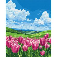 Tavaszi levegő - Számfestő készlet kereten 40X50