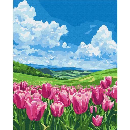 Tavaszi levegő - Számfestő készlet kereten 40X50