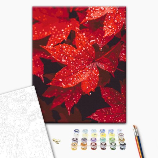 Ősz a vízcseppekben - Számfestő készlet kereten 40x50