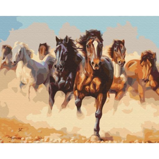 Vágtázó lovak - Számfestő készlet kereten 40x50_