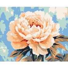 A szirmok harmóniája - 2 darabos számfestő készlet kereten