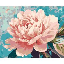 A szirmok harmóniája - 2 darabos számfestő készlet kereten