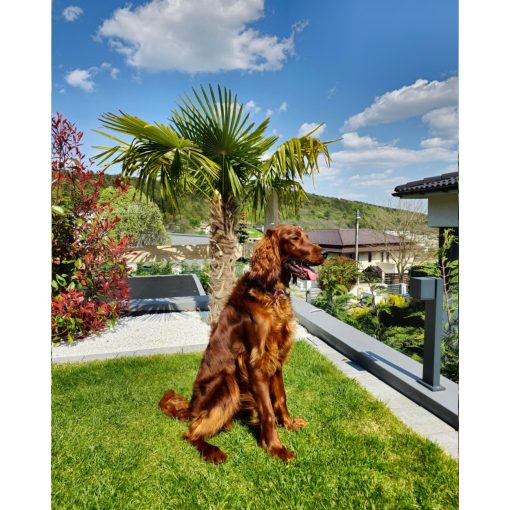 Egyedi számfestő, Saját kép alapján, Keretre feszítve