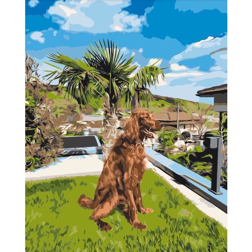 Egyedi számfestő, Saját kép alapján, Keretre feszítve