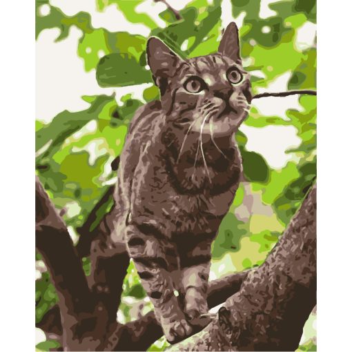 Egyedi számfestő, Saját kép alapján, Keretre feszítve