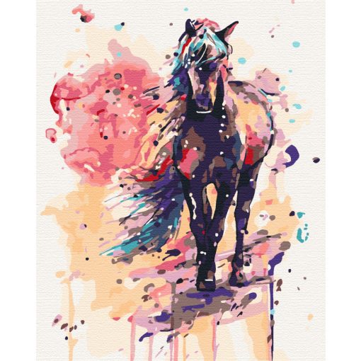 Ló akvarell - Számfestő készlet kereten 40x50